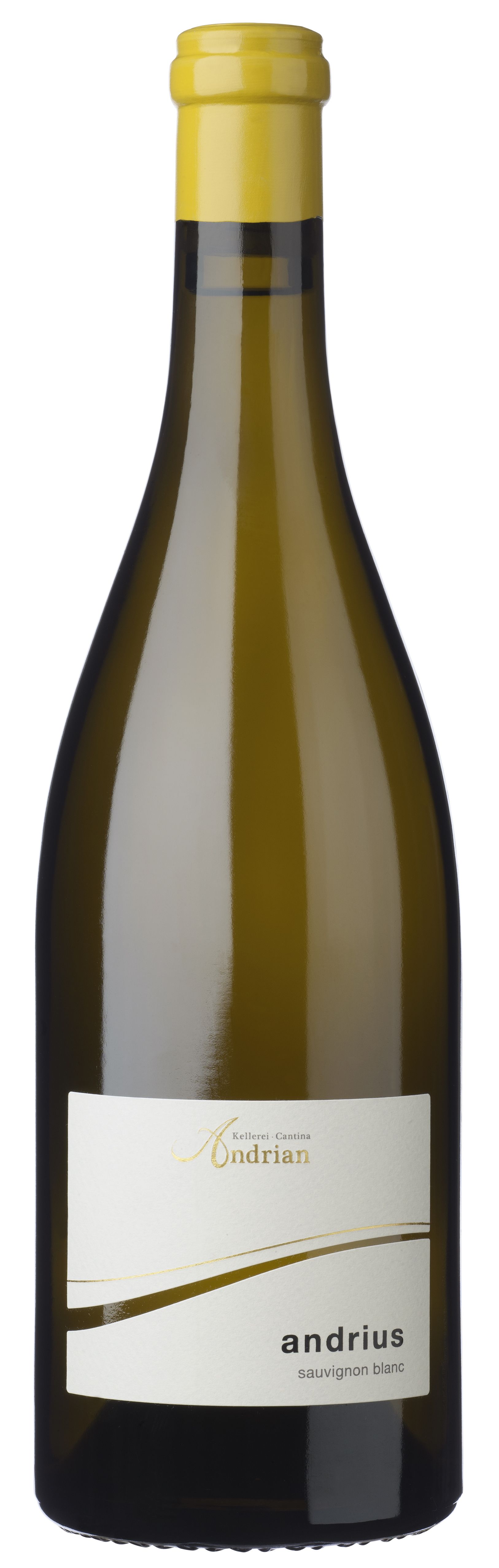 Cantina Andrian Sauvignon Blanc Andrius DOC 2016 Set 6 Bottles