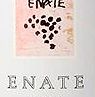 Enate Crianza Somontano 2005