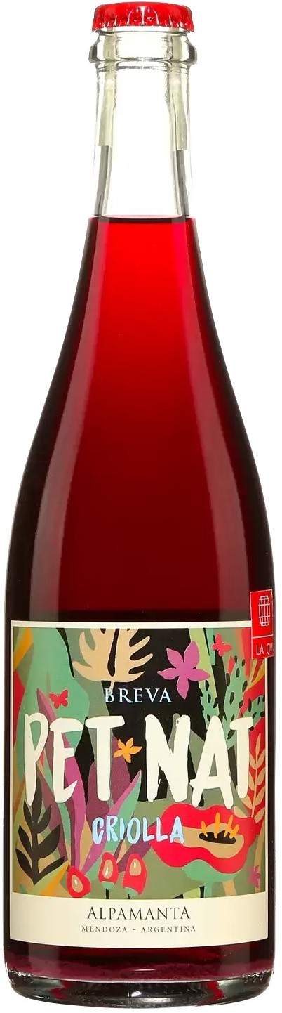 Alpamanta Breva Pet Nat Criolla 2022 Set 2 Bottles