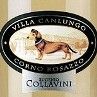 Eugenio Collavini Pinot Grigio Villa Canlungo Collio 2014