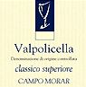 Viviani Valpolicella Classico Superiore Campo Morar 2005