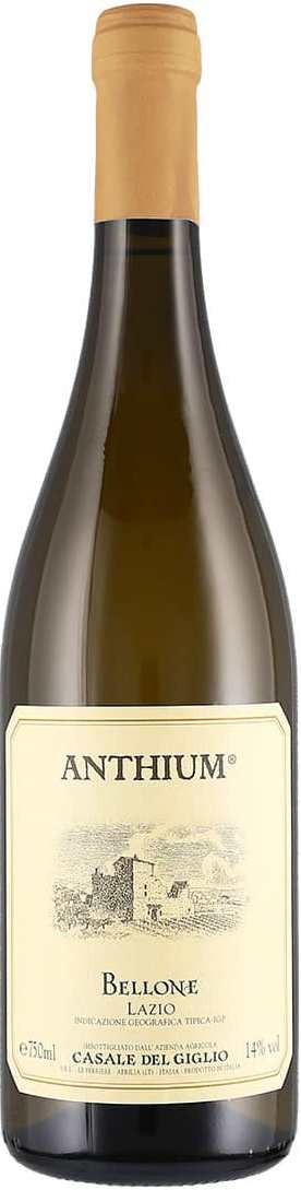 Casale del Giglio Anthium Bellone 2022 Set 6 bottles