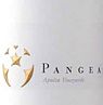 Ventisquero Syrah Pangea 2007