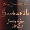 Barbadillo Brandy de Jerez Solera Gran Reserva 25YO