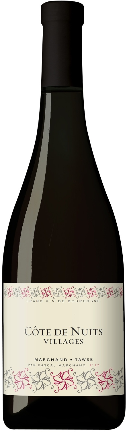 Marchand - Tawse Cote de Nuits Villages 2021 Set 2 Bottles