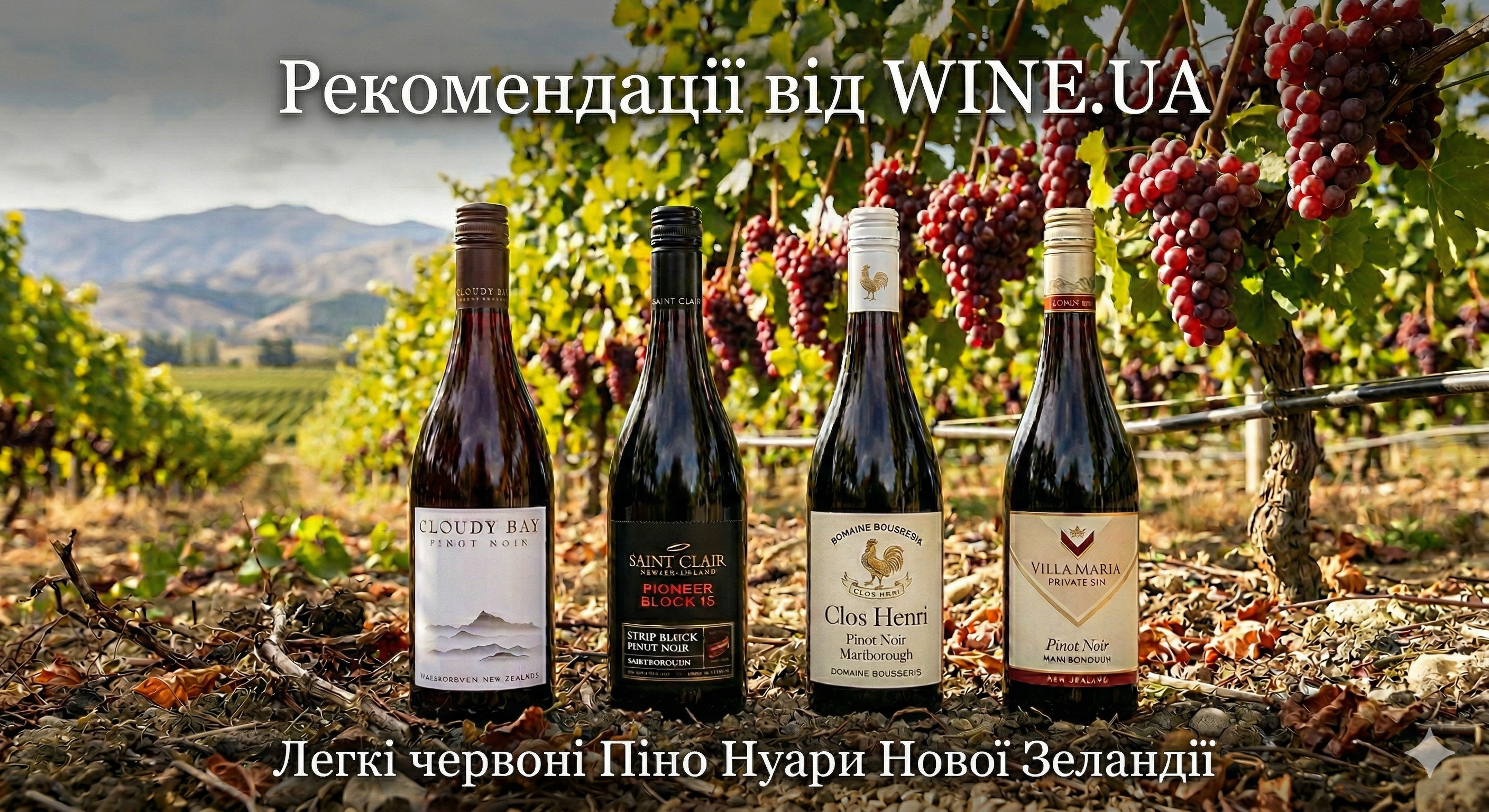 Рекомендації від WineUA. Червоні вина Нової Зеландії – Pinot Noir.