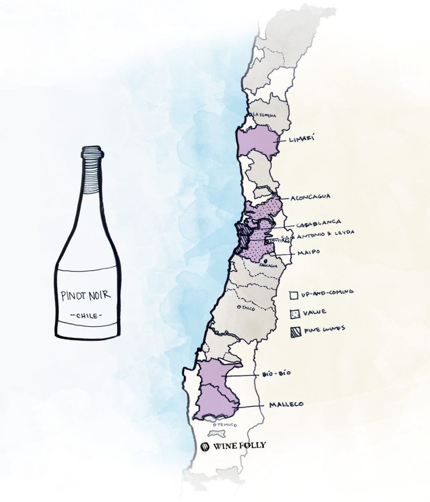 chilean-pinot-noir-best-wine-map.jpg