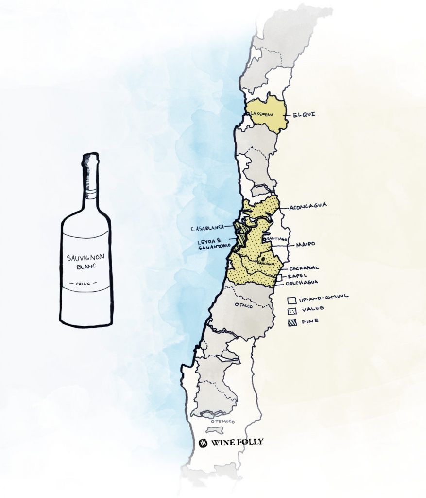 sauvignon-blanc-chile-best-wine-regions.jpg