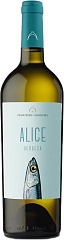 Вино Produttori di Manduria Verdeca IGT Alice 2022 Set 6 Bottles