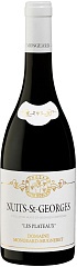 Вино Domaine Mongeard-Mugneret Nuits-Saint-Georges Les Plateaux 2022