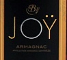 Joy 1991