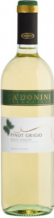 Donini Pinot Grigio 2019 Set 6 bottles