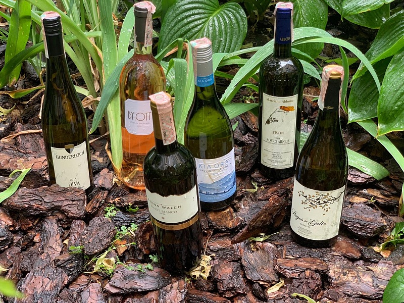 Summer Wine Case