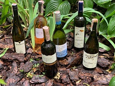 Вино Summer Wine Case