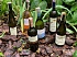Summer Wine Case - thumb - 1
