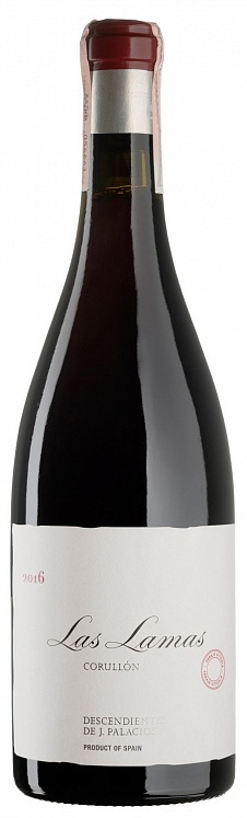 Descendientes de Jose Palacios Las Lamas 2016