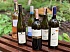 Summer Wine Case - thumb - 3