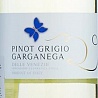 Donini Pinot Grigio Garganega Set 6 bottles