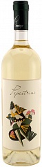 Вино Felsina Pepestrino 2017 Set 6 bottles