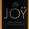 Joy 1988