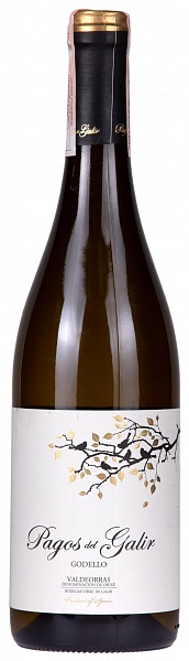 CVNE Pagos de Galir Godello 2018