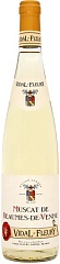 Vidal-Fleury Muscat de Beaumes-de-Venise 2022 Set 2 Bottles