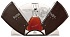 Maxime Trijol Rare Ancestral Grande Champagne - thumb - 2