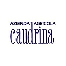 Caudrina di Romano Dogliotti