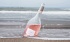 Frescobaldi Alie Rose Toscana IGT 2019 - thumb - 4