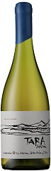 Ventisquero Tara Sauvignon Blanc 2022 Set 2 Bottles
