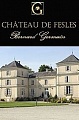 Chateau de Fesles