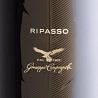 Campagnola Valpolicella Ripasso Classico Superiore 2016 Set 6 Bottles