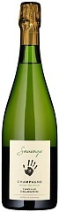 Шампанське та ігристе Delouvin Nowack Sauvage Brut Nature