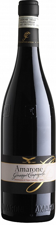 Campagnola Amarone della Valpolicella Classico Vigneti Vallata di Marano 2016