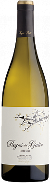 CVNE Pagos de Galir Godello 2017